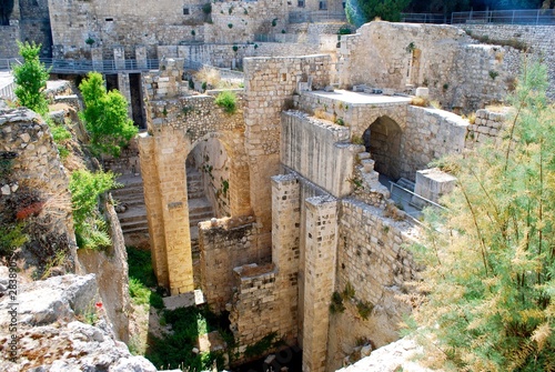 Canvastavla Pool of Bethesda 2