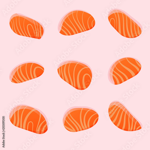 vector japanese food salmon set © phwmhu