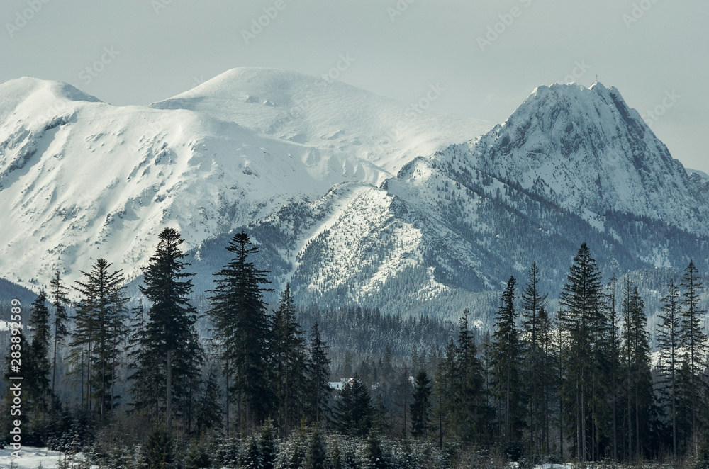 Snow-capped and forest in the Tatra mountains in Poland.