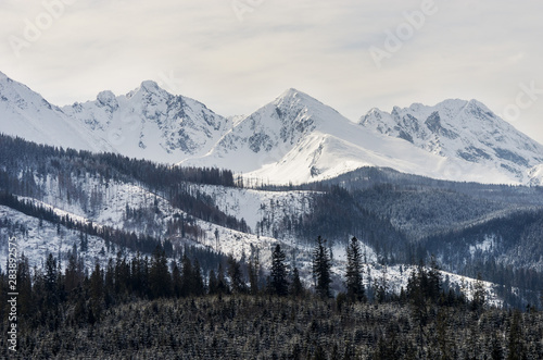 Snow-capped and forest in the Tatra mountains in Poland.