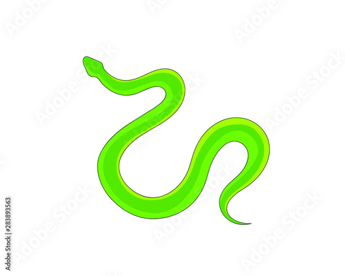 Snake Isolated on White Background, Great for book education, tattoo, sticker and design element! 