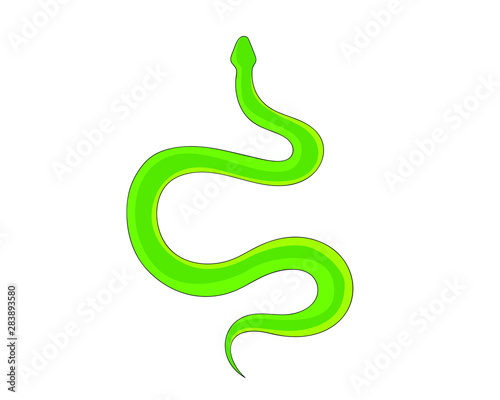 Snake Isolated on White Background, Great for book education, tattoo, sticker and design element! 