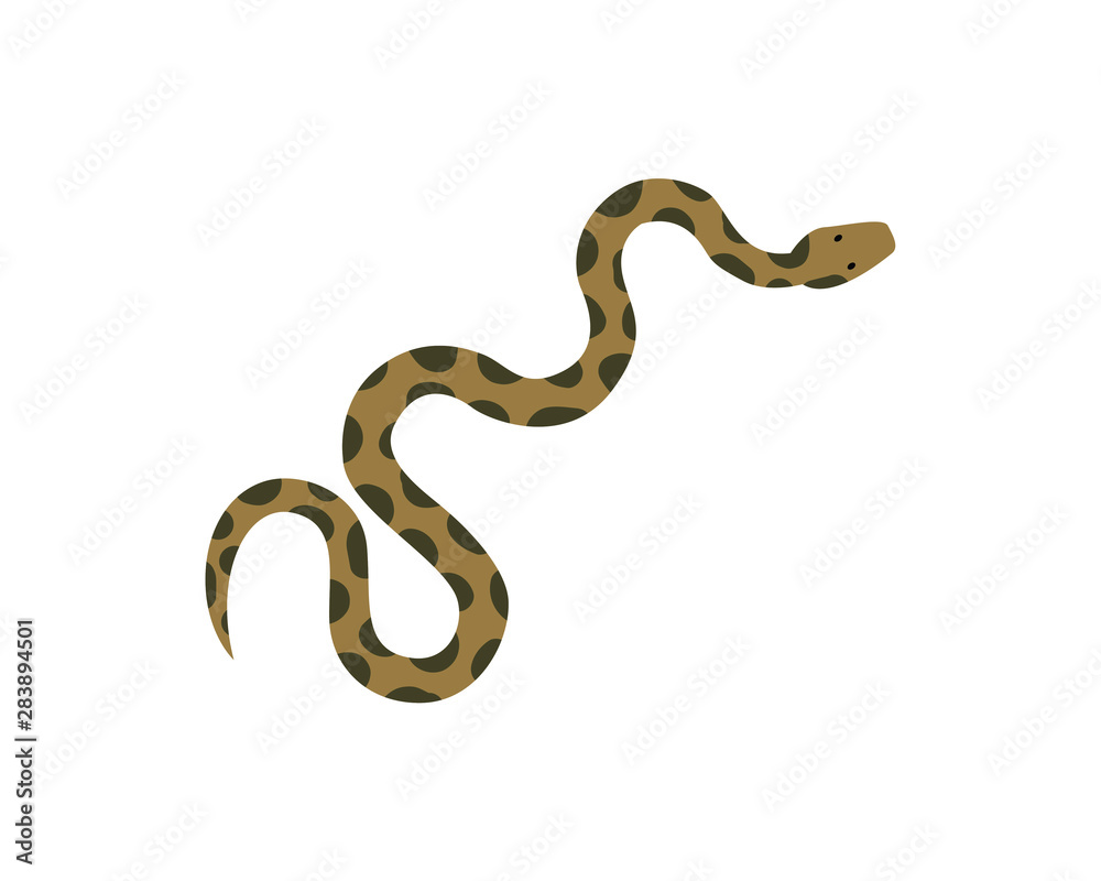Fototapeta premium Snake Isolated on White Background, Great for book education, tattoo, sticker and design element! 