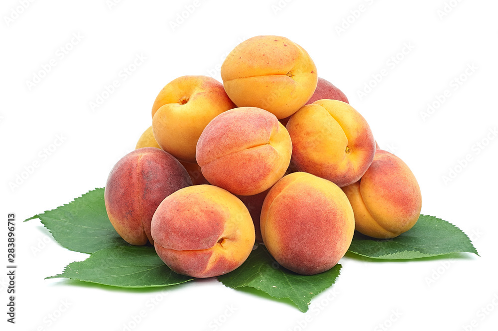 apricot yellow red sweet juicy fruit on a white background apricot yellow red sweet juicy fruit on a white background