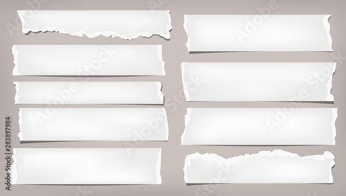 Set of torn white note, notebook blank paper pieces stuck on brown background. Vector illustration