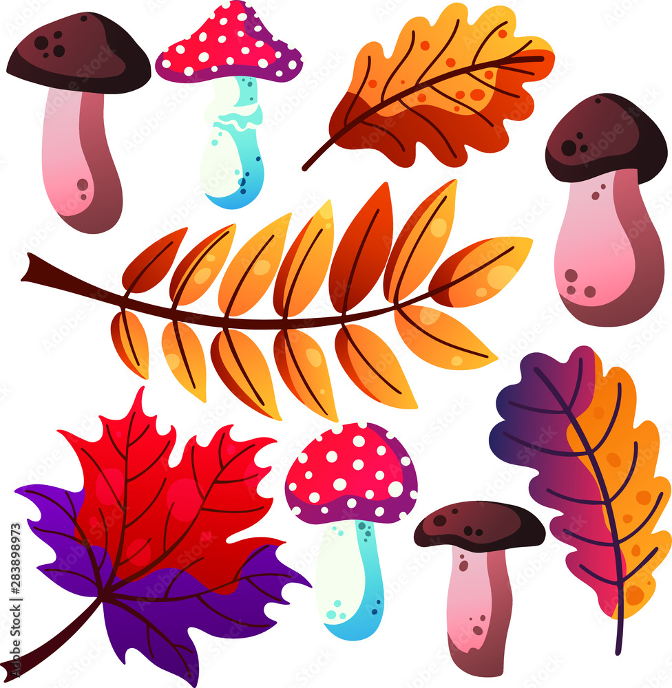 Set of the different autumn elements such as leaves, mushrooms, button mushroom, amanita or toadstool, poison, isolated on white for postcards, prints etc