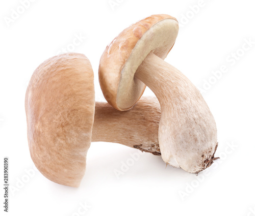 Boletus edulis mushrooms isolated on white background