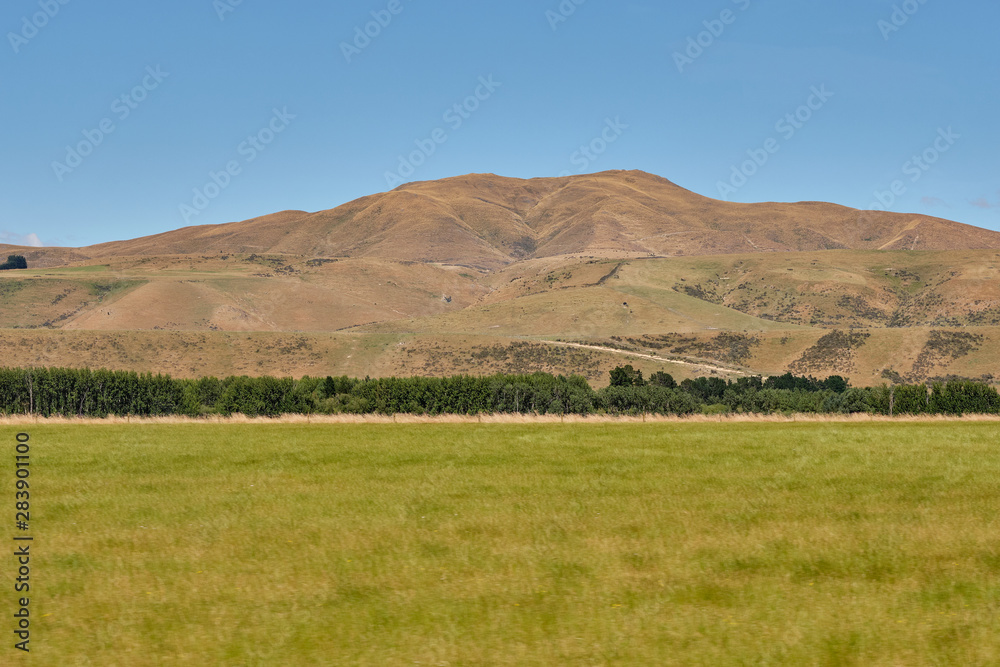 Obraz premium Scenery of Hakatere Conservation Park, Canterbury, New Zealand
