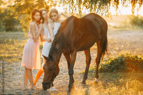 Three young women are standing next to horse at sunset. © Stanislav
