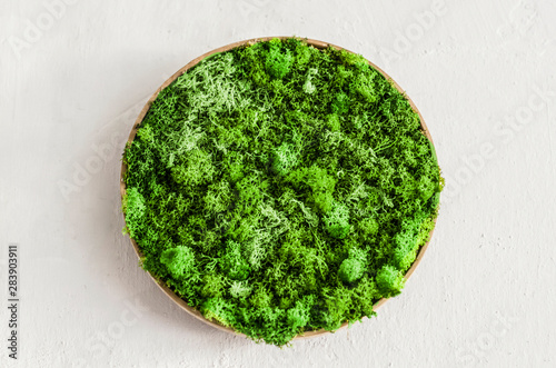 Scandinavian moss in a wooden planter on a wooden table.