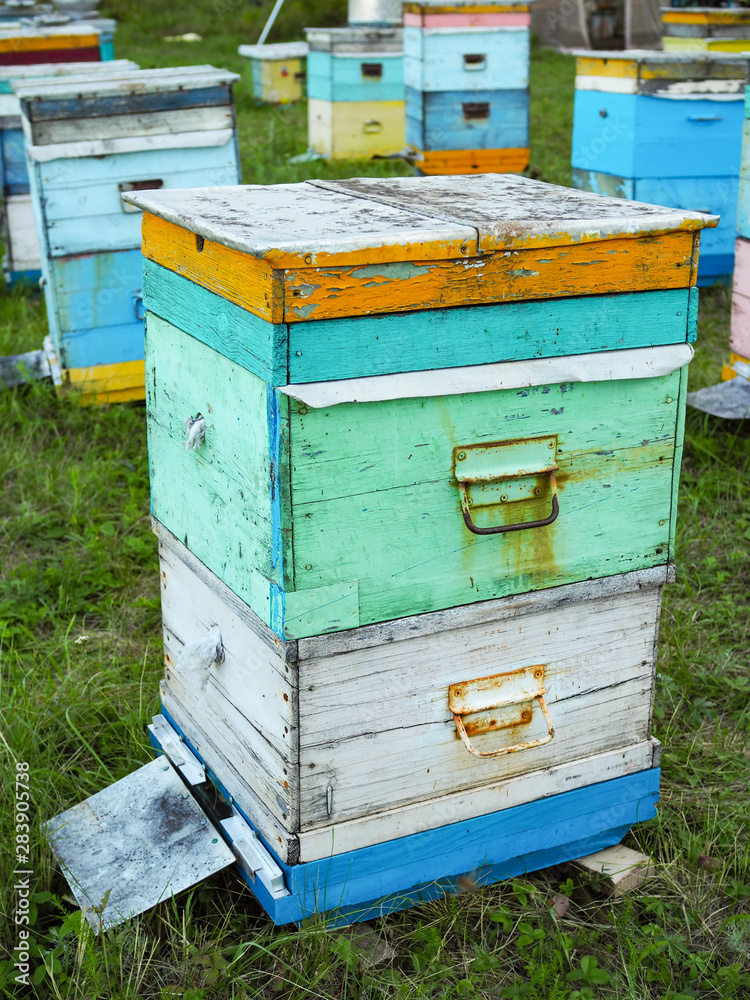 old two-level beehive on the apiary on a summer day old two-level beehive on the apiary on a summer day