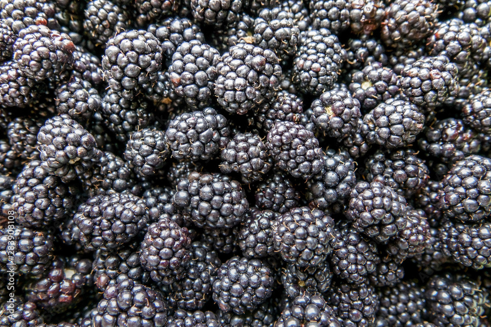 Background from fresh Blackberries, close up. Top view, Flat lay Background from fresh Blackberries, close up. Top view, Flat lay