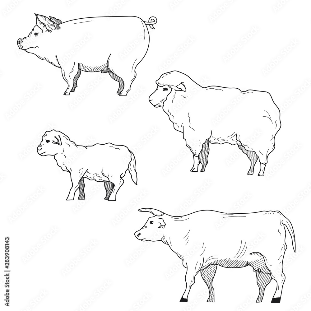 Farm animals cartoon character line drawing set Stock Illustration | Adobe  Stock