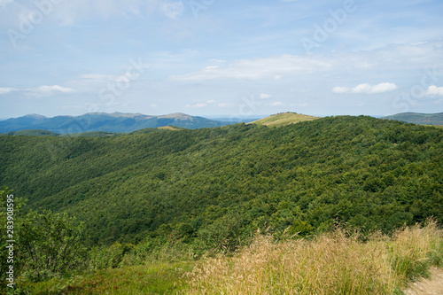 Bieszczady, Widok z Wielkiej Rawki