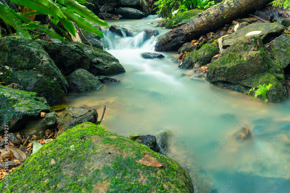 Small streams in forests and upstream forests in the rainy season