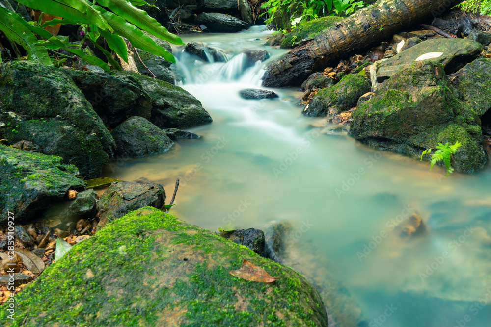 Small streams in forests and upstream forests in the rainy season Small streams in forests and upstream forests in the rainy season