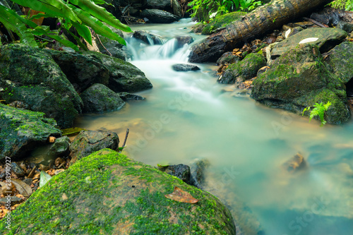 Small streams in forests and upstream forests in the rainy season