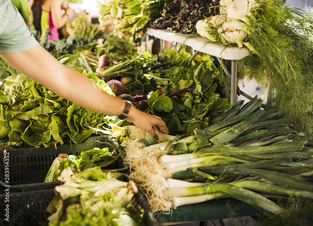 Obraz premium Male consumer's hand choosing green fresh vegetable at market stall