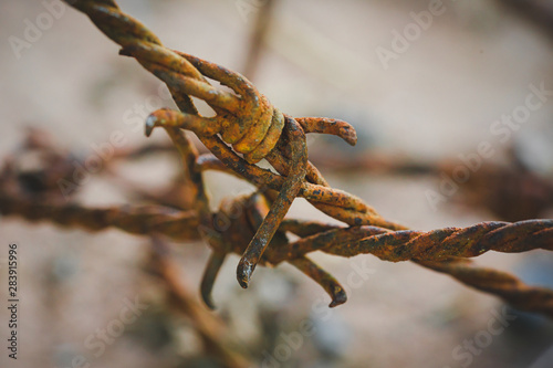 Close up Rusty barbed wire © Worawut
