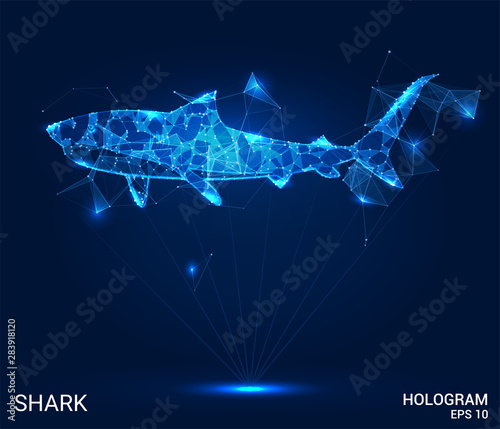 Hologram shark. Shark of polygons, triangles of points and lines. Shark is a low poly connection structure. Technology concept.