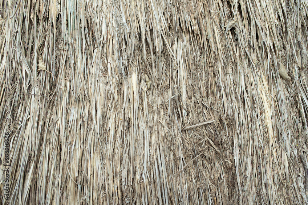 Fototapeta premium Texture of old hay bale background. 