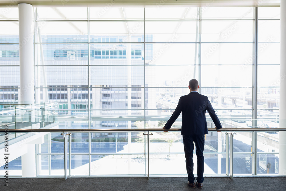 Back view of businessman looking out of office window Back view of businessman looking out of office window
