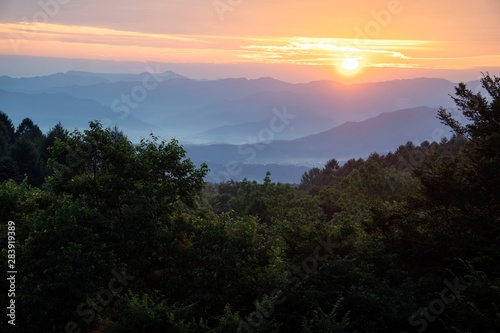 日の出／山の裾野に霞みが架かり朝日が森を照らす夜明けの風景