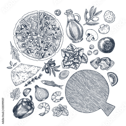 Tasty basil, mozarella, tomato, olive, garlic pepper, onion, anchovy, parmesan, shrimp, champignon. Italian pizza ingredients. Vector illustration