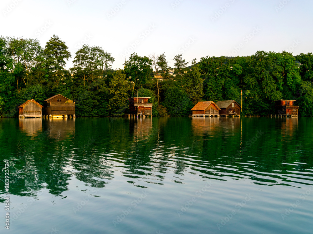 Obraz premium view of the lake at dawn early in the morning, the shore overgrown with trees