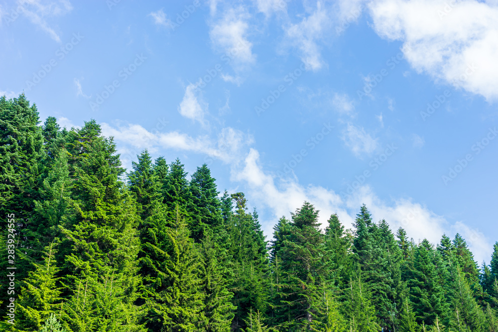 Fototapeta premium Beautiful summer landscape in Savsat, Artvin province, Turkey