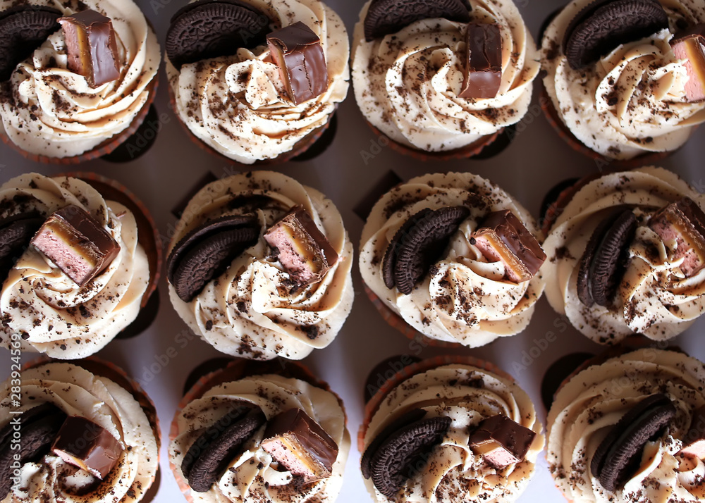 Tasty cupcakes. Homemade chocolate muffin with Vanilla Cheese Cream. Delicious sweet dessert. Tasty cupcakes. Homemade chocolate muffin with Vanilla Cheese Cream. Delicious sweet dessert.