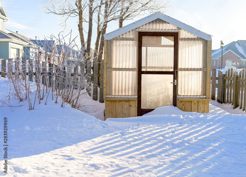 Small wood framed greenhouse in a residential backyard. Small wood framed greenhouse in a residential backyard.