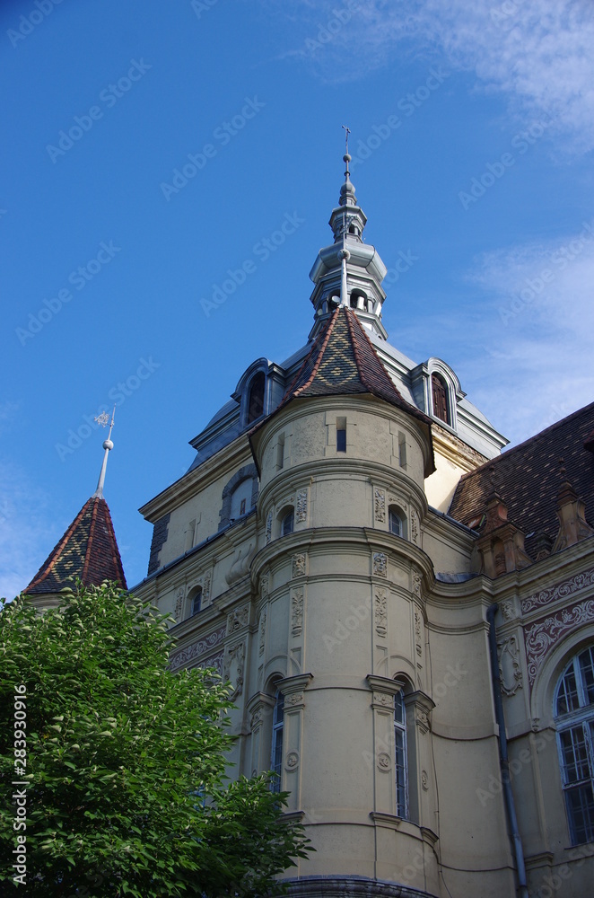 Fototapeta premium castle in Budapest