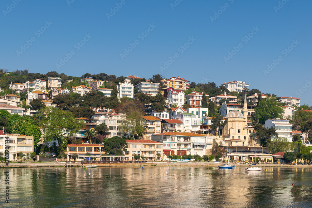View of Burgazada island from the sea with summer houses and a small mosque, Sea of Marmara, near Istanbul, Turkey