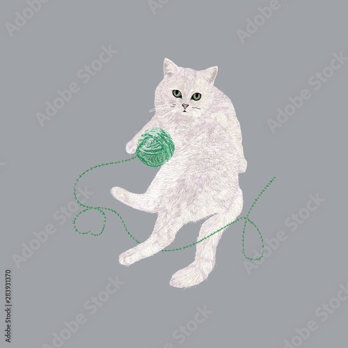 the cat lies with a ball of thread