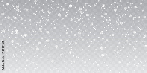 Christmas snow. Heavy snowfall. Falling snowflakes on transparent background. White snowflakes flying in the air. Vector illustration