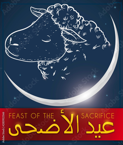 Starry Sky with Lamb and Crescent Moon during Eid al-Adha, Vector Illustration