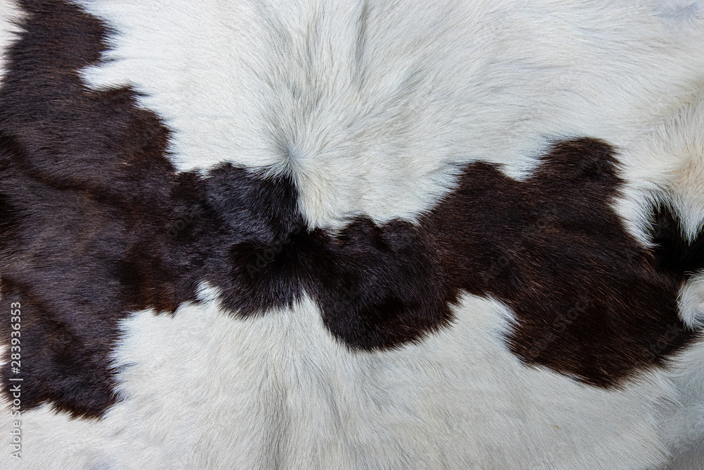 brown Cow skin coat with fur black white and brown spots brown Cow skin coat with fur black white and brown spots