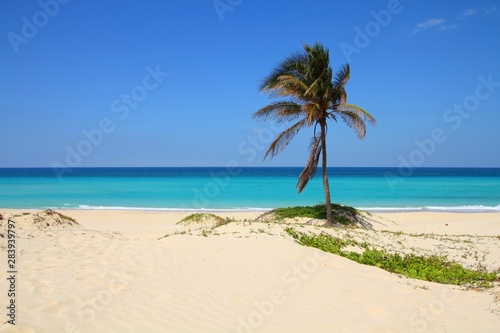 Fototapeta Naklejka Na Ścianę i Meble -  Cuba beach - Playas Del Este. Beautiful beach landscape.
