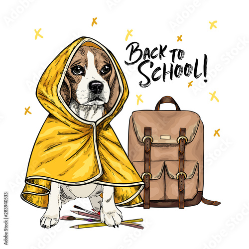 Vector portrait of beagle dog with backpack, pens and pencils wearing the raincoat. Back to school illustration. Hand drawn pet portait. Study poster, student cartoon. Education metaphor.