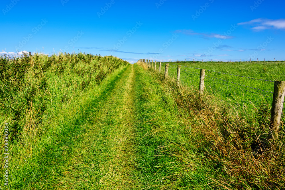 Walking Path in a field in Northern Ireland