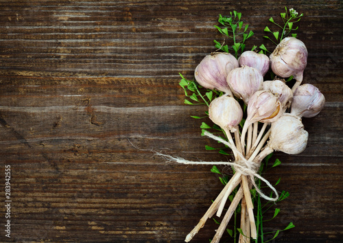 Bunch of garlic and capsella
