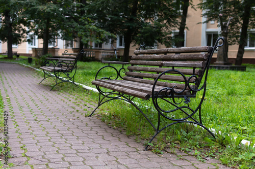 Wooden bench in a park. Summer evening