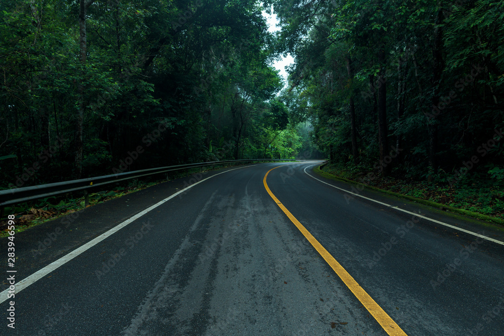 Asphalt road through the forest in rainy season