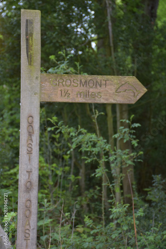 Wooden Coast to Coast Signpost Marking the Way to Grosmont photo