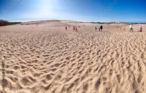 LEBA, POLAND - JULY 25, 2019: Slowinski National Park is situated on the Baltic Sea coast, near Leba, Poland. Desert landscape with the largest moving sand dunes in Europe. Hot day with clear sky.