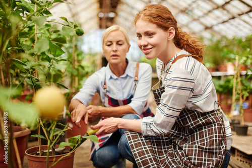 Farmers taking care of plants they grow.
