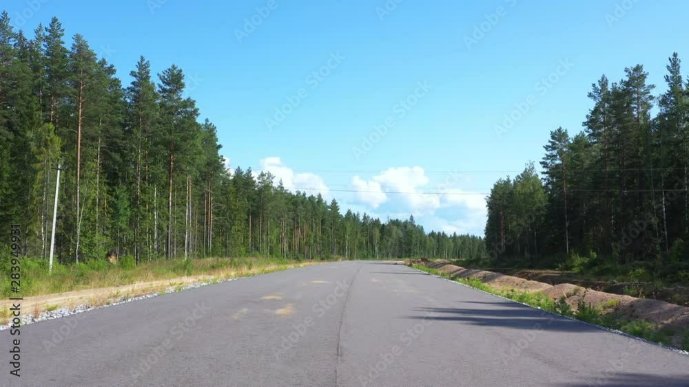 Aerial view from drone on asphalt road through pine forest Aerial view from drone on asphalt road through pine forest