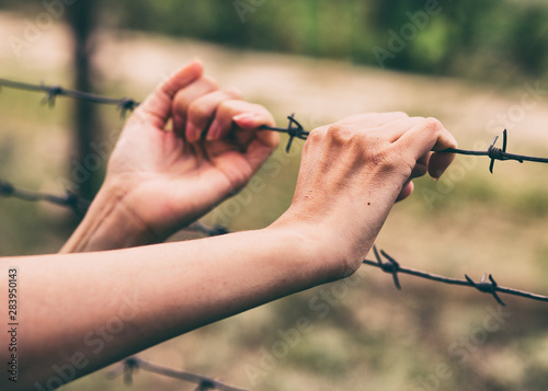 Barbed wire and the hands of a girl. Conceptual scene. Hunger for freedom. Closed area. Hand and railing with barbed wire. Female hand holding barbed wire. 