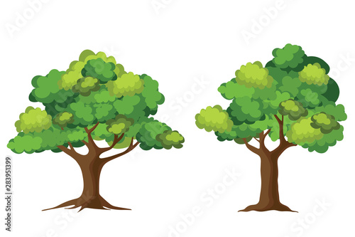 Tree collection isolated on white background. Cartoon of trees.